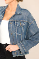 All The Buzz Distressed Dark Wash Denim Jacket